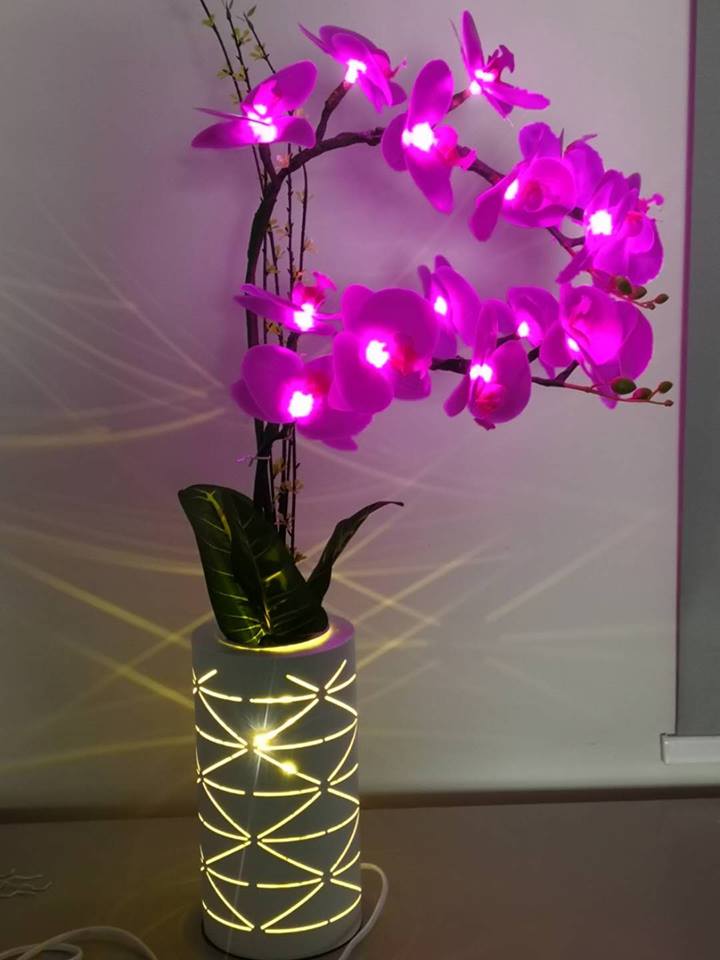 Kons-Led Butterfly Orchid Lamp 4w 50hz Warranty 3 Years-epistar Electronic Lighting-5